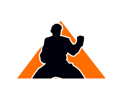 Image result for Skillz Martial Arts