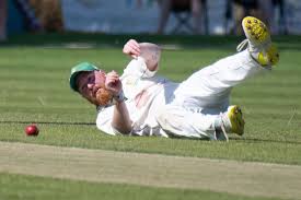 Image result for Leicester Ivanhoe Cricket Club