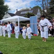 Image result for Plymouth Karate Club Kyokai