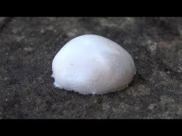 Attēlu rezultāti vaicājumam “Reticularia lycoperdon”