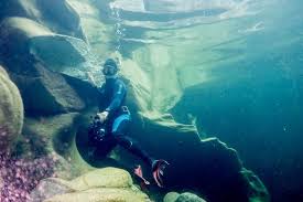 Image result for TAL Divers