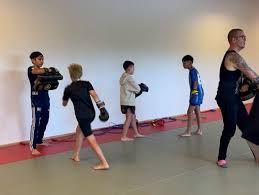 Image result for Vipers Thai/Kickboxing School