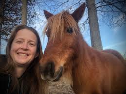 Resultado de imagen para sliced horse