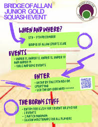 Image result for Bridge Of Allan Sports Club