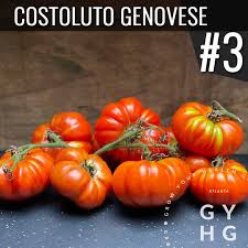 Afbeeldingsresultaat voor costoluto genovese tomato