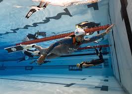 Image result for Blue Water Freediving School