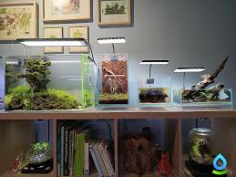 Znalezione obrazy dla zapytania takashi amano%