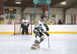 Image result for Dundee Ducks inline roller hockey club