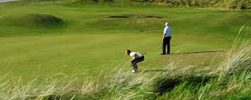 Image result for Borth & Ynyslas Golf Club