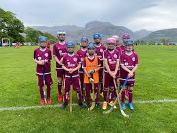 Image result for Kilmallie Shinty Club
