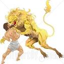 lion wrestling