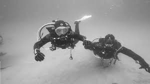 Image result for Scuba Skooling