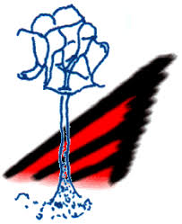 Attēlu rezultāti vaicājumam “Barbeyella minutissima stalked”