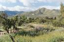 Acton, CA : Parker Mountain in Acton, March 2003 photo, picture ...
