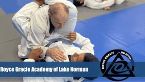 Image result for Derwent Jujitsu Academies