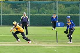 Image result for Luton Nomads Cricket Club