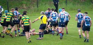Image result for Effingham and Leatherhead Rfc