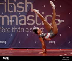 Image result for Bulmershe Gymnastics Club