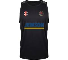 Image result for Minehead Cricket Club