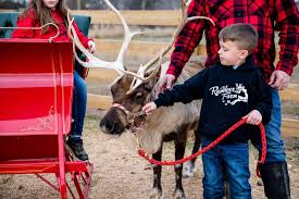 Image result for Red Deer Bowling Club