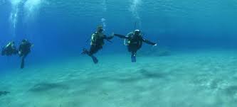 Image result for Durley Dolphin Diver