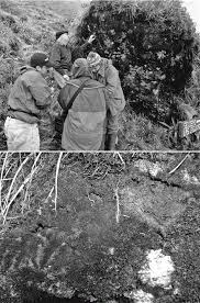 Attēlu rezultāti vaicājumam “Odontoschisma denudatum cells”