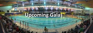 Image result for Borough Of Stockton Swim Scheme