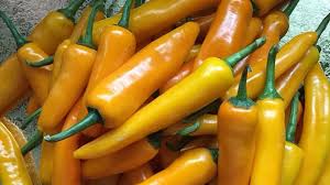 Afbeeldingsresultaat voor thai yellow hot pepper