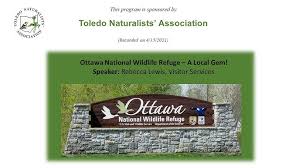 Image result for Wood Green A F S Association