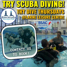 Image result for Black Country Barracudas Sub Aqua Club