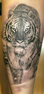 tiger tattoos
