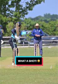 Image result for Wokingx1 Cricket Club