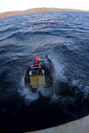 Image result for Halton Sub Aqua Club