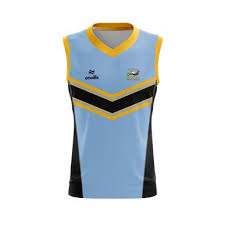 Image result for Elmbridge Girls Basketball Club