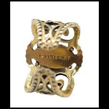 Image result for Coventry Dragons