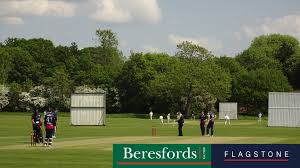 Image result for Effingham Cricket Club