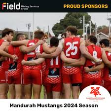 Image result for Dominos Netball Club