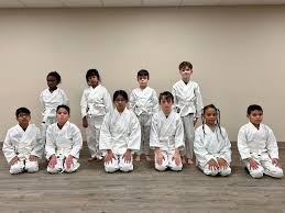 Image result for Bushin Kenpo Kai Schools