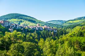 Image result for selvatici tehron