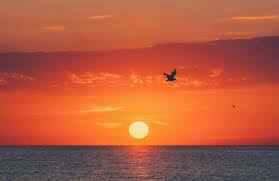 Image result for sunset