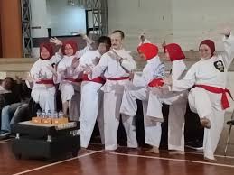 Image result for Silat Pd (Perisai Diri) UK