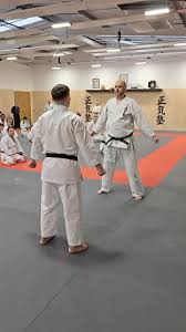 Image result for Mickleham Seiki Juku Karate Club
