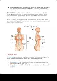 Image result for body midline