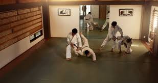 Image result for Ryuko Dojo