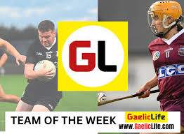 Image result for Lisnaskea Emmetts Gfc