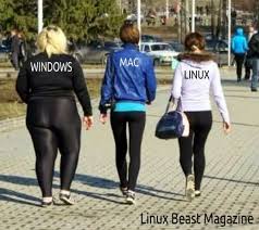 Image result for linux-beast-magazine