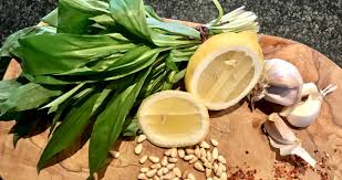 Image result for Bärlauch