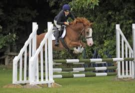 Image result for Bookham Riding Club