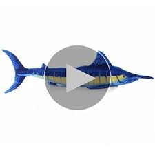 Image result for Makaira mazara