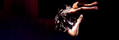 Image result for Sponte Sua Gym